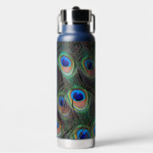 Bouteille D'eau Peacock Feather Eyespot Motif (Salle de sport)