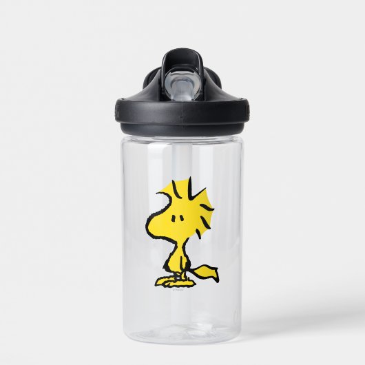 Bouteille D'eau Peanuts | Snoopy's Friend Woodstock (Avant)