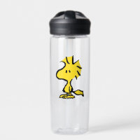 Peanuts | Snoopy's Friend Woodstock