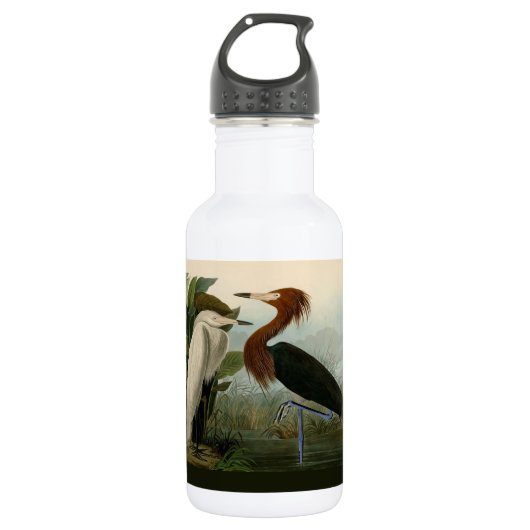 Bouteille D'eau Peinture de la faune d'Audubon Heron violet (Devant)