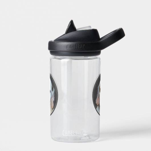 Bouteille D'eau Peinture de l'espagne de combre - jolie art origin (Gauche)