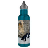 Bouteille D'eau Penguin Beach House, (Gauche)