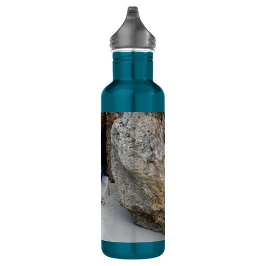 Bouteille D'eau Penguin Beach House, (Droite)