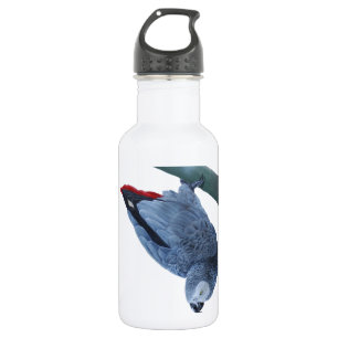 Bouteille D'eau Perroquet de gris africain