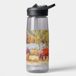 Bouteille d'eau personnalisée : CamelBak Eddy® Che
