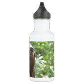 Bouteille D'eau Personnaliser (Droite)