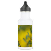 Bouteille D'eau Personnaliser (Droite)