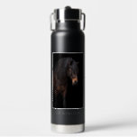 Bouteille D'eau Personnalisez votre cheval photo Equestrier Rider<br><div class="desc">Bouteille de photo isolée avec votre image de cheval personnalisée - il y a de la place pour 2 photos et 2 noms de cheval sur l'avant et l'arrière de la bouteille afin que vous pouvez choisir d'avoir un cheval sur les deux côtés ou deux chevaux, un sur chaque côté....</div>
