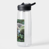 Bouteille D'eau Photo de Buse à queue rousse (Gauche)