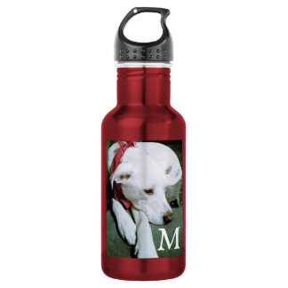 Bouteille D'eau Photo de chien blanc mignon avec initiale enfants