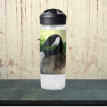 Bouteille D'eau Photo de la faune de l'oie du Canada au repos<br><div class="desc">Pour les amateurs d'animaux et de nature ! Restez trempés partout où vous allez avec cette bouteille d'eau en plastique claire qui présente l'image d'une oie du Canada reposant. Sélectionnez la taille et la couleur de votre bouteille d'eau. REMARQUE : Image non optimisée pour le style de l'enfant.</div>