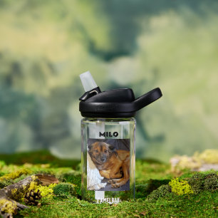 Bouteille D'eau Photo et nom personnalisé de l'animal de compagnie