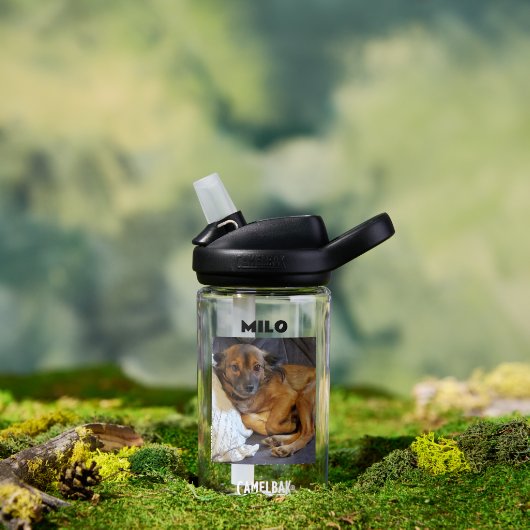 Bouteille D'eau Photo et nom personnalisé de l'animal de compagnie (Extérieur)