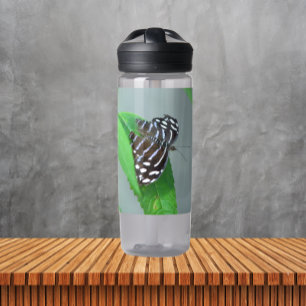 Bouteille D'eau Photo Royal Blue Butterfly