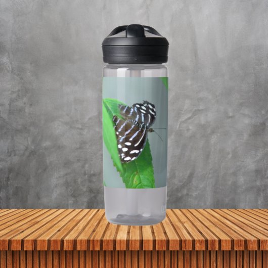 Bouteille D'eau Photo Royal Blue Butterfly