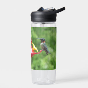 Bouteille D'eau Photographie d'oiseau Colibri à gorge rubis