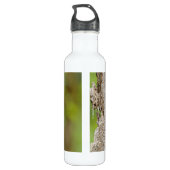 Bouteille D'eau Pic-de-la-Bête-Rouge dans la forêt (Dos)