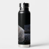 Bouteille D'eau Pièces de loutres de mer (Évier)