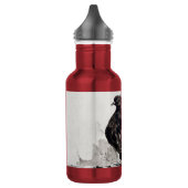 Bouteille D'eau Pigeon à queue indienne Eyeliner Poule (Gauche)