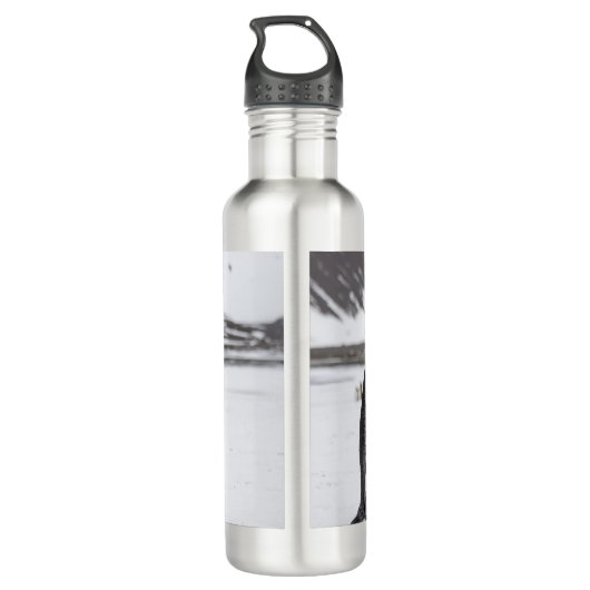 Bouteille D'eau Pingouins du Roi (Dos)