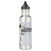 Bouteille D'eau Pingouins du Roi (Droite)