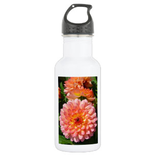 Bouteille D'eau Pink dahlia flowers in bloom