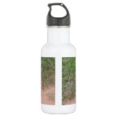 Bouteille D'eau Pitbull (Dos)