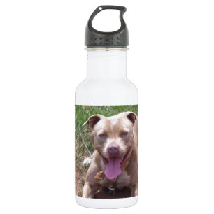 Bouteille D'eau Pitbull