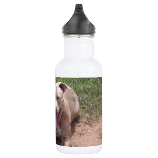 Bouteille D'eau Pitbull (Droite)