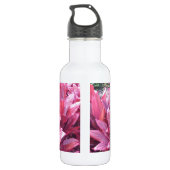 Bouteille D'eau Plante de congé de Ti d'Hawaï (Dos)