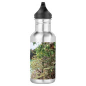 Bouteille D'eau Playa Lagun Dream 1 (Droite)