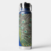 Bouteille D'eau Plumage bleu Peacock (Arrière)