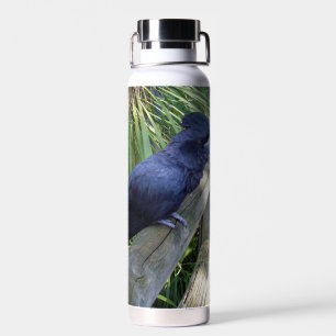 Bouteille D'eau Plumes noires : Perroquet noir australien
