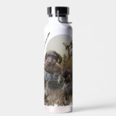 Bouteille D'eau Pointeur À poils durs allemand (Gauche)