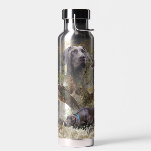 Bouteille D'eau Pointeurs germains (GSP) (Gauche)