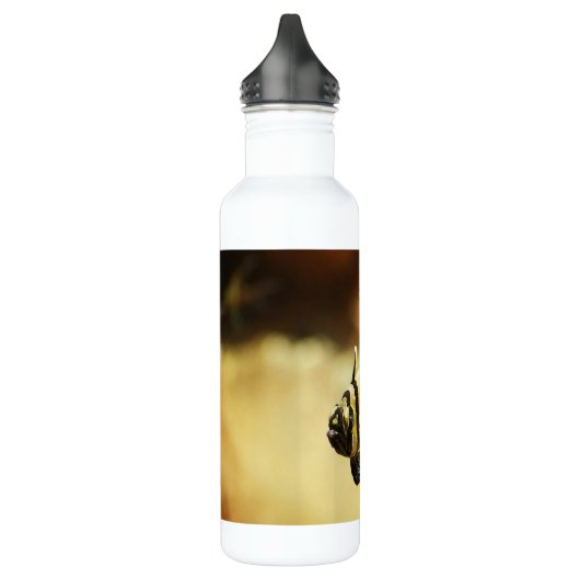 Bouteille D'eau Poisson-ange rayé solitaire (Gauche)