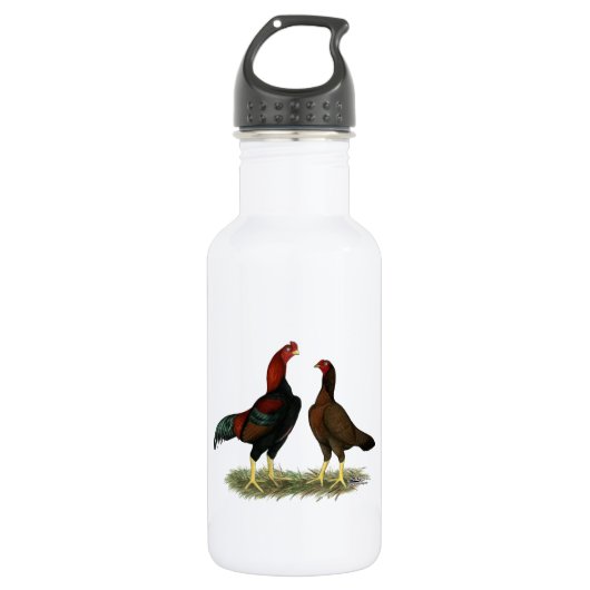 Bouteille D'eau Poules Aseel Black Red (Devant)