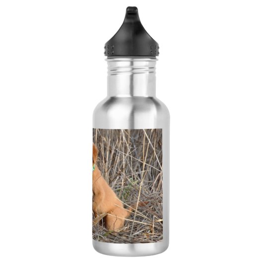 Bouteille d'eau pour chiot à rouleaux, Acier inoxy (Droite)