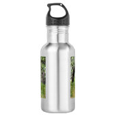 Bouteille d'eau pour éléphants africains (Dos)