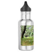 Bouteille d'eau pour éléphants africains (Gauche)