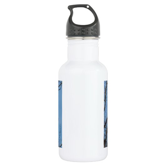 Bouteille D'eau Problème de double aigle (Dos)