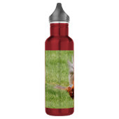 Bouteille D'eau Profil d'un faisan à anneaux (Gauche)