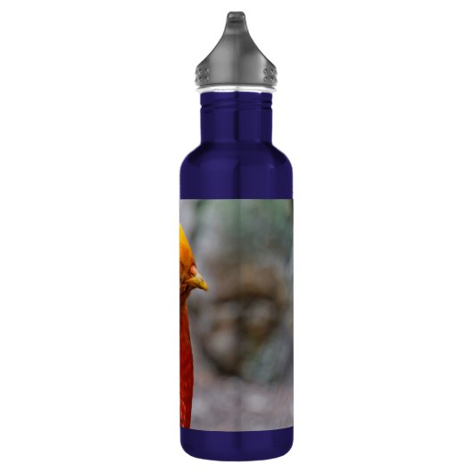 Bouteille D'eau Profil d'un faisan rouge doré (Droite)