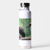 Bouteille D'eau Qui appelle un Kook (Plage)