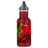 Bouteille D'eau Quince Branche en acier inoxydable peint Bott (Gauche)