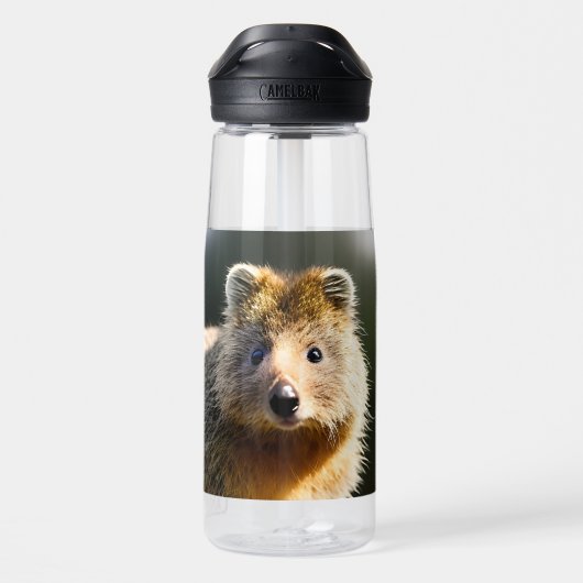 Bouteille D'eau Quintin Le Ginger Quokka, (Arrière)