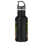 Bouteille D'eau Raccoon mignon reposant sur un journal (Dos)