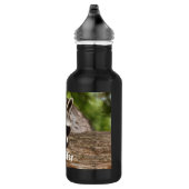 Bouteille D'eau Raccoon mignon reposant sur un journal (Droite)