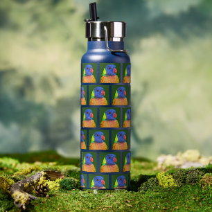 Bouteille D'eau Rainbow Lorikeet Parrot Motif