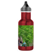 BOUTEILLE D'EAU RANDONNÉE (Droite)
